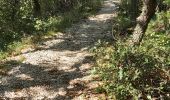 Trail Walking Suzette - Suzette-saint Amand-pas du loup - Photo 11