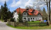 Tour Zu Fuß Ilmenau - Grüner Balken - Photo 3