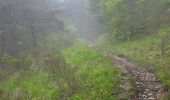 Trail Walking Mayres-Savel - Le Serre de l 'Aigle départ Mayres 480 + - Photo 2