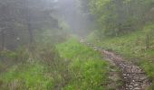 Tour Wandern Mayres-Savel - Le Serre de l 'Aigle départ Mayres 480 + - Photo 2