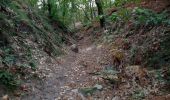 Trail Walking Fontainebleau - Rochers d'Avon - Photo 2