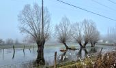 Tocht Stappen Fosses - Boucle Survilliers - St Witz -  Moussy le neuf - Plailly 25 km - Photo 7