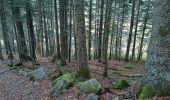 Tocht Stappen Séchilienne - Lac de Luitel - Pic de l'oeilly  - Photo 11