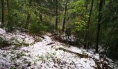 Trail Walking Chichilianne - orage de grêle vers le pas de Laupet - Photo 1