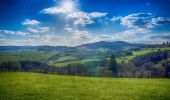 Trail On foot Hallenberg - Hallenberger Wanderrausch - Photo 10