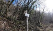 Tour Zu Fuß Brumano - Sentiero 579: Chignolo - Bocca del Grassello - Photo 3