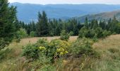 Trail Walking Linthal - Hilsen-Hilsenfirst-Petit Ballon-Hilsen - Photo 5