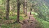 Tour Wandern Xonrupt-Longemer - Retournemer  - Photo 2