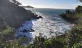 Excursión Senderismo Hyères - Tour de la presqu'île de Giens est - Cap Esterel - Photo 6