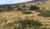 Tour Wandern Font-Romeu-Odeillo-Via - Les airelles llobins - Photo 1