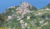 Trail Walking Vernazza - Vernazza - Riomaggiore - Photo 4