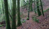 Randonnée Marche Bort-les-Orgues - Tour des orgues à Bort les Orgues - Photo 12