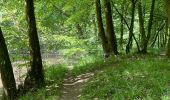 Trail Walking Chiny - Chiny le long de la Semois - Photo 4