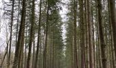 Tour Wandern Somme-Leuze - Sinsin - Photo 9
