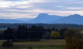 Tour Wandern Portes-en-Valdaine - GPX-Rando-Plaine-Portoise-nouvelleversion - Photo 2