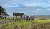 Trail Walking Marche-en-Famenne - Humain - Photo 5