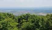 Tour Wandern Orschweiler - HAUT KOENIGSBOURG - Photo 5