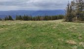 Trail Walking Sondernach - Landersen boucle  - Photo 2