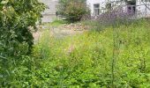 Trail Walking Bassenge - Fort Eben-emael 11 Km  - Photo 3
