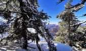 Tocht Ski randonnée Selonnet - 20210218 - Tête grosse - Chabanon - Selonnet - Photo 12