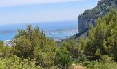 Randonnée Marche Évenos - Toulon Col du corps de garde Mont Caume - Photo 8