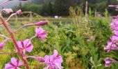 Randonnée Marche Gresse-en-Vercors - Le Grand Veymont - Photo 2