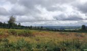 Tocht Stappen Sainte-Ode - rando lavacherie 6/10/2020 - Photo 1