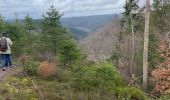 Tour Zu Fuß Weismes - Reinardstein 12 Km - Photo 12