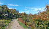 Tocht Stappen L'Albère - ullat - san-cristau / retour par la piste  - Photo 16