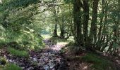 Randonnée Marche Le Falgoux - Franconèche- Gr400-chemin des Italiens bis - Photo 15