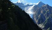 Tour Wandern Chamonix-Mont-Blanc - Glaciers des Bossons  - Photo 4