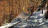 Percorso A piedi Sonneberg - Rund um den Schönberg - Photo 7