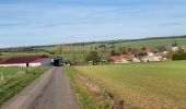 Trail Walking Coussey - de Coussey à Vouthon  - Photo 1