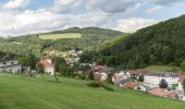 Tocht Te voet Gemeinde Bernstein - Speckkammerl Rundwanderweg (Bernstein - Stuben) - Photo 1