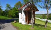 Trail On foot Tirschenreuth - Tirschenreuth Rundwanderweg Nr. 7 - Photo 10