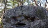 Trail Walking Fontainebleau - Fontainebleau Sentier Denecourt N°10 - Photo 7