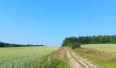 Percorso Marcia Villers-le-Bouillet - gotroul . merexhe . doyard . champia . antheit . gotroul - Photo 2