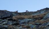 Trail Walking Bonneval-sur-Arc - col de la Disgrâce - Photo 16