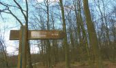 Tour Wandern Houppeville - 20200312-La Bretèque et la Forêt Monumentale - Photo 4