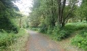 Percorso A piedi Sconosciuto - Castlewellan Forest Park - Annesley Garden Walk - Photo 3