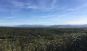 Tocht Stappen Sérignan-du-Comtat - PF-Sérignan-du-Comtat - Le Bois de la Montagne - Photo 1