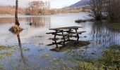 Trail Walking Les Mollettes - tour lac saint helene - Photo 2