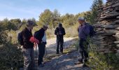 Percorso Marcia Saumane-de-Vaucluse - Saumane de Vaucluse  - Photo 5