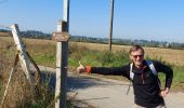 Trail Walking Avesnes-sur-Helpe - Camp de Cesar balisage automne 2022 - Photo 3