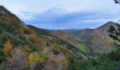 Tour Wandern Rochefourchat - Rochefourchat (ASPTT) - Photo 6