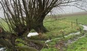 Randonnée Marche Gerpinnes - Gougnies par les carrières  - Photo 2