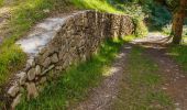 Trail On foot Rabbi - Sentiero di Passo Cercen - Photo 2