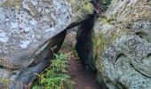 Randonnée Marche Fontainebleau - Fontainebleau sentier Denecourt 3 - Photo 20