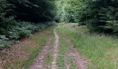 Trail Walking Assesse - Randonnée Laneville au bois - Photo 9