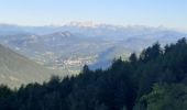 Trail Walking Seyne - SEYNES LES ALPES . Grand puy , montagne de la Blache , cabane du Mulet o l s - Photo 14